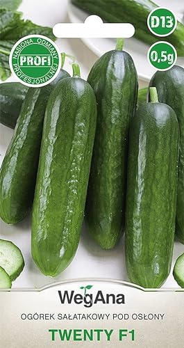 WegAna Gurka Tjugo F1 Frön 0,5g Mörkgrön gurka 20-22 cm Robusta grönsaksfrön Växthusodling Frön