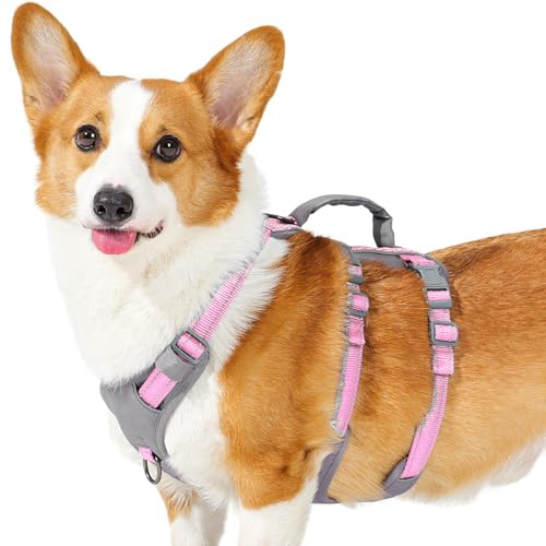 Huntboo Utrymningssäker Hundsele Medium, Anti-Trek Hundsele med Handtag, Andningsbar, Justerbar, Reflekterande Hundselar, Lättviktig Hundsele för Små och Stora Hundar Utomhus (Ljusrosa,M)