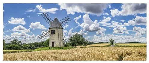 Scenolia Brise Vue imprimé Moulin DE Jeannette, 500 x 200 cm (LXH), 100% occultant, Made in France Colliers de Fixation offerts