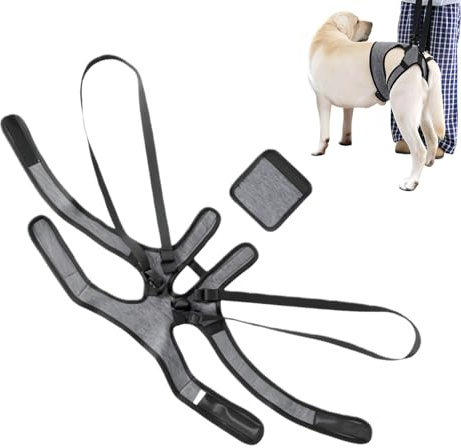 Arnés de elevación para Perros | Arnés de elevación para Perros para Patas traseras | Ayuda de Transporte de liberación rápida | Soporte de Cuerpo Completo y de Ayuda de Movilidad | para