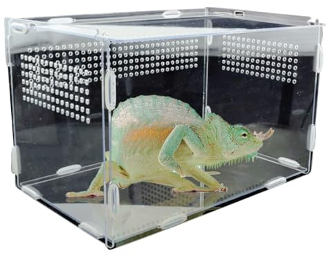 Terrario de Insectos - Terrario de tarántula Transparente | Estuche de