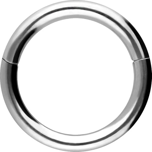 PIERCINGLINE Segmentring Clicker Chirurgenstahl Piercing Ring Nase Septum Ohr Helix Tragus Silberfarben 1 x 6 mm