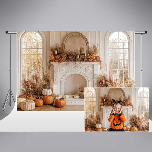 Kate Pumpkin Autumn Fotografía de Halloween Fontanería 10x10ft/3x3m Pampas Grass Arch Background Fiesta de la Fiesta de cumpleaños de niños