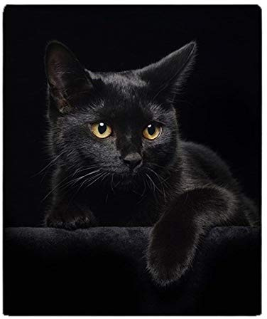 YISUMEI - Sanfte Fleecedecke - Schwarze Katze, 125 x 200 cm Überwurf Geeignet für Sofa oder Bett