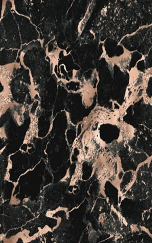 Bitcoin Cryptocurrency & Digital Assets: Black Pink Marble Recovery Phrase Offline Security Password Notebook Ledger: Organized Index System With Tabs Dotted Logbook Journal: 5” x 8” 110 Pages