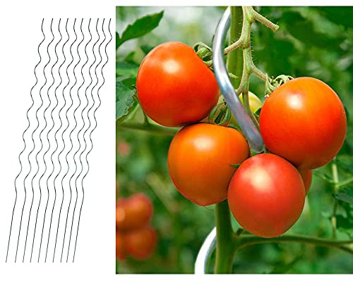 10er SetTomatenspiralstab 150cm