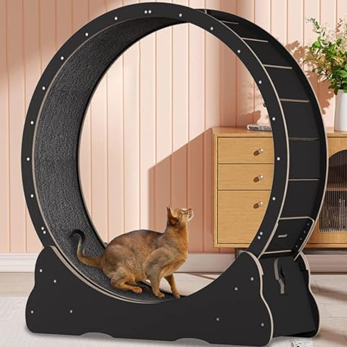 Cashwise Großes Katzenübungsrad, Katzen-Laufband mit No-Lack-Design, Katzenlaufrad mit Stiller Bewegung, Sicherheits-Katzengewichtskontrollvorrichtung mit Verriegelungsvorrichtung und Teppich,Black-M