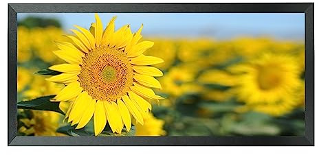 Bilderrahmen aus Massivholz, 22,9 x 50,8 cm, Posterrahmen, 22,9 x 50,8 cm, schwarz, geeignet für Panorama-Fotos, Poster, Malerei, Gruppenfoto, Puzzle (UX22B920)