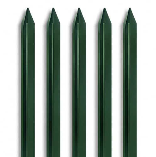 IlGruppone Pali per Recinzione in Acciaio Verde con Rivestimento PVC Paletti a T con Punta Appuntita e Fori per Fissaggio Rete Metallica da Giardino, Resistenti alla Ruggine - 5 Pezzi-250cm