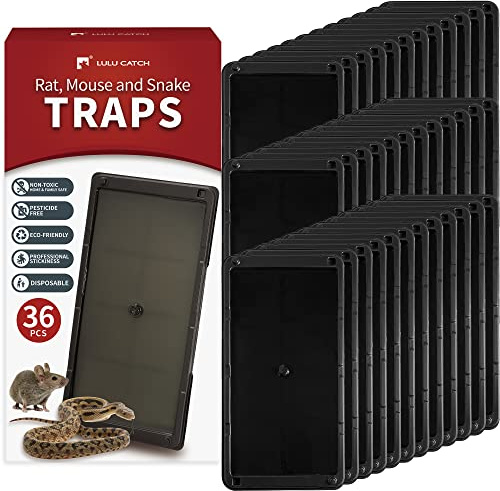 LULUCATCH Juego de 36 trampas para ratones y serpientes, más grandes y pesadas con pegamento no tóxico. Trampas adhesivas para ratones en interiores, fáciles de instalar, seguras para niños y mascotas
