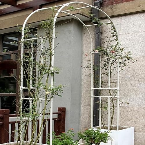 YOXALL 120-320cm Breite Rosenbogen Rankgitter Gartenbogen für Kletterpflanzen Rankhilfe Rosen Torbogen Rostfrei Rosenspalier mit Befestigung Weiss (Size : B240 x H240cm)