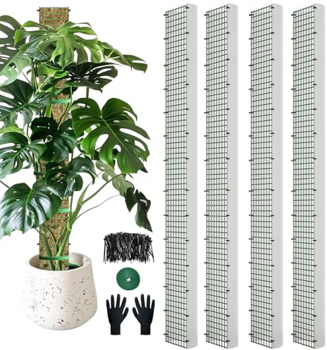 60/40/24 Metal Moss Pole, D Shape Sphagnum Moss Pole, Moss Poles for Climbing Plants, Monstera, Indoor Climbing Plants (4Pcs 60)
