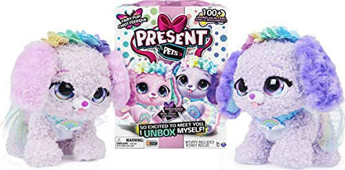 Present Pets, Fairy Puppy Interactive Plush Toy with Over 100 Sounds and Actions (Style May Vary), Kids’ Toys for Girls Aged 5 and above, 6061372