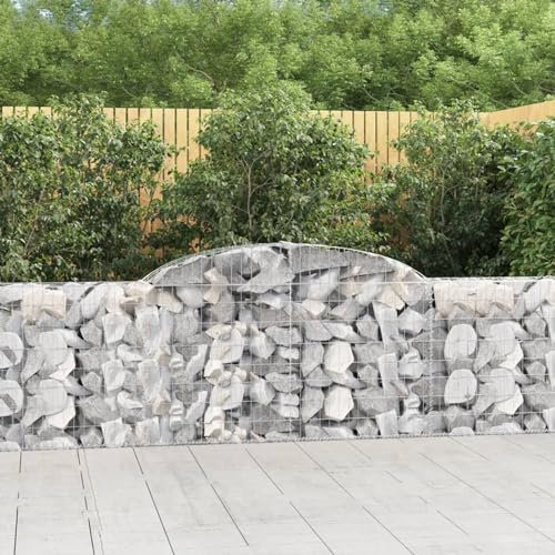 Azzrora Gabbioni Metallici per Pietre, Gabbioni Metallici, Gabbione per Sassi, Gabbioni Sassi, Gabbione in Pietra, Cesti Gabbioni ad Arco 8 pz 300x30x80/100 cm Ferro Zincato