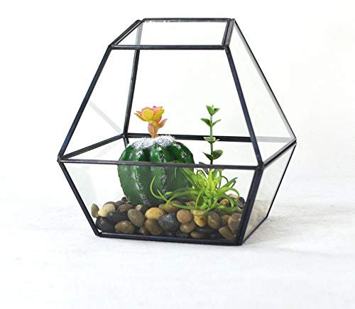 Terrarium Boule De Verre d'art Moderne Géométrique Translucide Pots De Fleurs De Cactus Charnue Récipient Décoratif Intérieur Et Extérieur (Color : Black, Size : 15x15x14.5cm)