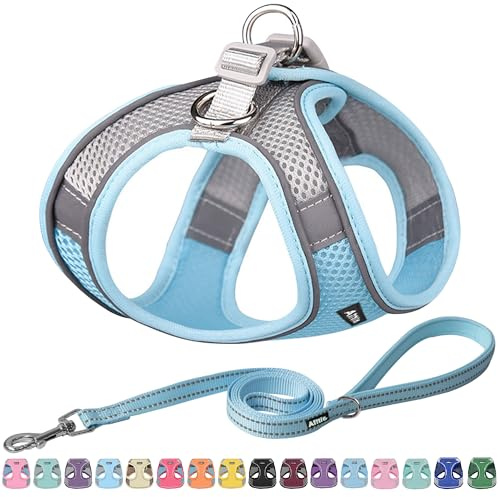 AIITLE Hundegeschirr, No-Pull Katzengeschirr mit Leine, Blau XXXS | einstellbare reflektierende Hundeweste, Welpengeschirr fluchtsicher, Spaziergang im Freien für kleine Hunde und Hauskatzen