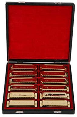 KIRANDY 12PCS / Set 10 Löcher Mundharmonika Diatonische Blues Harp A/B/C/D/E/F/G Key Mundharmonika goldene Verpackung