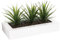 WELL HOME - Centro de mesa decorativo con 3 plantas Aloe Vera H.17cm