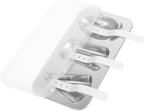 Cabilock Moule à Popsicles Acier Inoxydable avec Couvercle Accessoire Pratique pour Glaces Maison Créez Vos Sucettes Glacées Diy