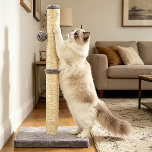 Kratzsäule Katzen, 80cm Kleiner Kratzbaum mit Sisalseil, Kratzbaum klein, Kratzstamm mit Hängendem Spielball Hochwertiger Stabile Basis, Sisalseil, für Zuhause Silbergrau