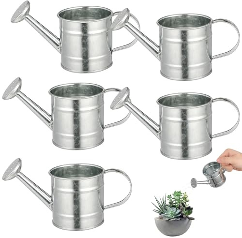 Veemoon 5 Mini Arrosoirs en Fer Galvanisé Argenté, Décorations pour Micro-Jardin et Maisons Miniatures, Accessoires de Jardin pour Scènes Créatives