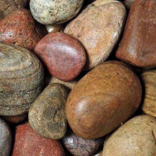 Elixir Gardens Decorative Coloured Scottish Stones Cobbles Pebbles Paddlestones Gravel Chippings Aggregate Various Sizes 1kg-1000kg | (10kg, Scottish Cobbles 50-80mm)