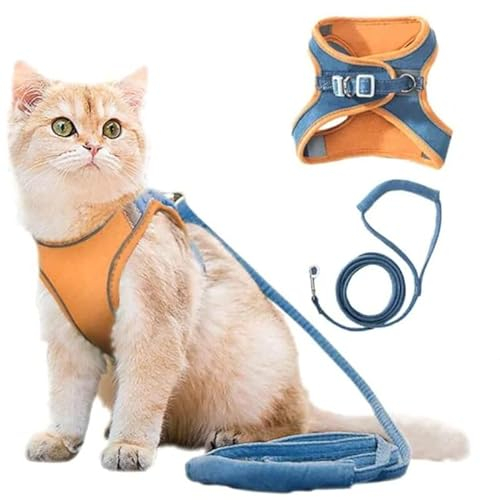 SWZEC Wahre Katzenliebe™ - atmungsaktives Katzengeschirr + Leine (M-2-4KG,Blau/Orange)
