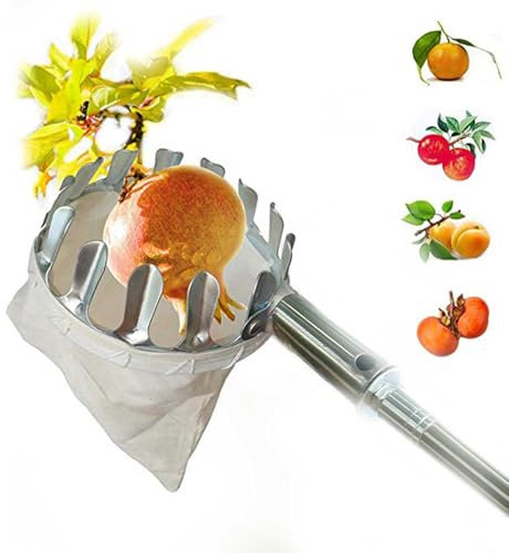 Yonuaret Recogedor de frutas con mango telescópico, recogedor de frutas telescópico, recogedor de manzanas, barra larga para huertos, recogedor de frutas, recogedor de ciruelas y cerezas, 1,5 metros