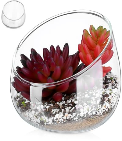 INOOMP Unique Slanted Glass Bowl Vase for Indoor Succulent Planting Small Planters and Moss Terrariums Compact Decorative Centerpiece for Home and Office Shelves