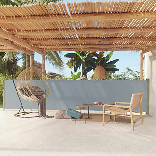 Tidyard Tenda da Sole,Laterale,Retrattile,Estensibile,per Patio,Terrazzo,Balcone,Tenda da Sole per Esterno,Tenda da Sole Laterale,Tenda da Sole Avvolgibile,Tenda Paravento da Sole
