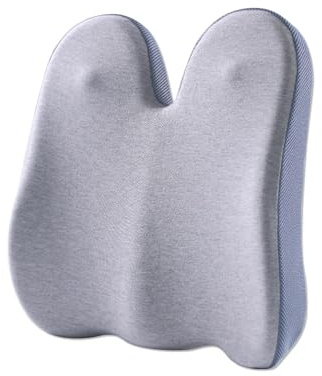 Tking RückenKissen Travel Ease Ergonomisches aus Memory Foam Lendenkissen für Bürostuhl Schaum Lendenstützkissen Schreibtischstuhl Verstellbaren Gurten Schmerzlinderung im unteren Rücken (Grau)