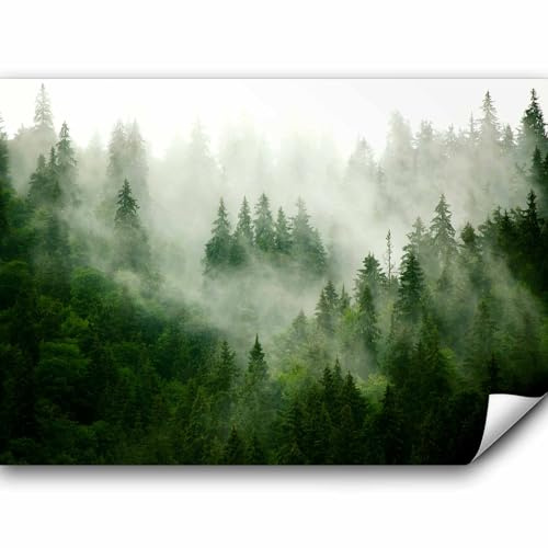murando - Fototapete selbstklebend Wald Nebel, 343x256 cm, Schlafzimmer | Selbstklebend ohne Kleister, Full HD Druck, ideal fürs Wohn- oder Schlafzimmer, schnelle Montage, lichtbeständig, geruchsfrei