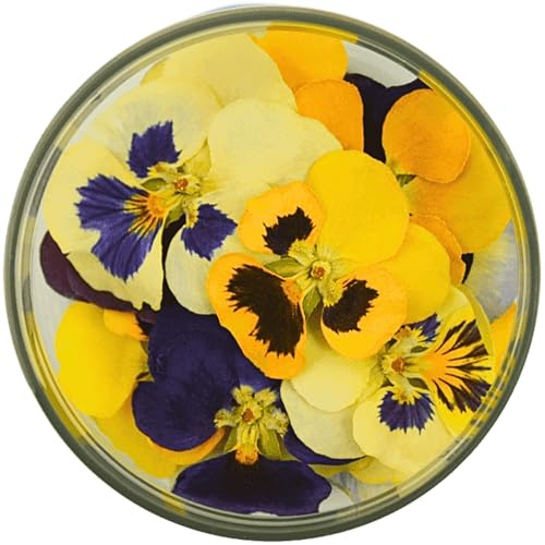 ROSIE ROSE - Essbare Blüten Stiefmütterchen (15 Stk.) - Wie frisch gepflückt & 3 Jahre haltbar - Getrocknete Blumen Essbar für Tortendeko & Kuchendeko - Premium Edible Flowers Dried & Blütenmix