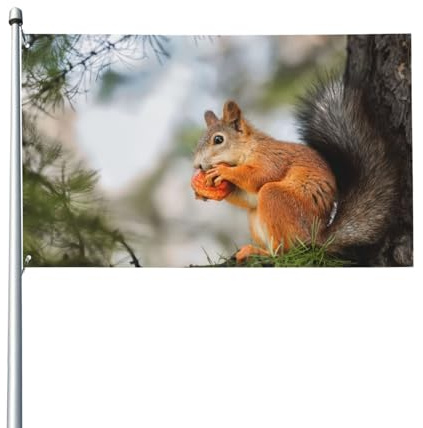 150 x 90 cm, divertente scoiattolo grasso mangia noci sul ramo di un albero bandiera per casa prato da appendere decorazione cortile striscioni vacanze bandiere di benvenuto con 2 occhielli in