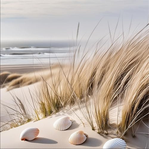 artissimo, Glasbild, 50x50cm, AG5569A, Strand und Meer: Dünenlandschaft IV, Bild aus Glas, moderne Wanddekoration aus Glas, Wandbild Wohnzimmer modern, blau beige