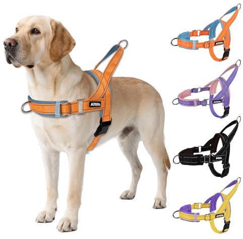 AIITLE Anti-Zug-Hundegeschirr verstellbar gepolstert, Orange-Blau M | Reflektorstreifen, Schnellverschluss, verstellbar, für Welpen & alle Hunde, Training, Spazieren, Laufen, sicher