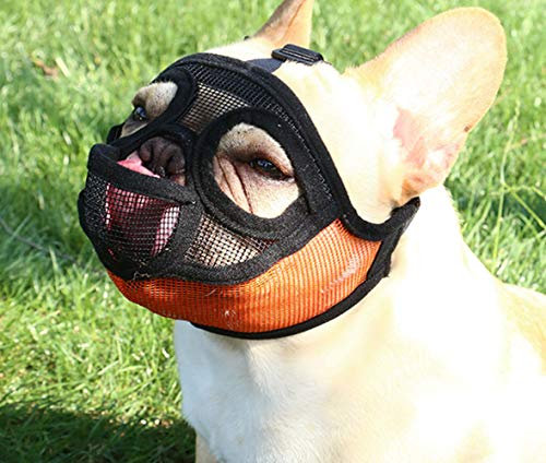 PETEMOO Maulkorb für Hunde mit abgeflachter Schnauze-verstellbar, atmungsaktiv: Englische Bulldogge, Französische Bulldogge, Pekingese, Shih-Tzu, Mops, auch für Katzen geeignet.