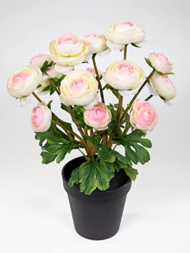 Seidenblumen Roß Ranunkelbusch Natural 32cm rosa-weiß im Topf DP Kunstpflanzen Kunstblumen künstliche Ranunkel Blumen