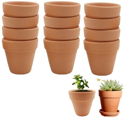 Molyorch 12 vasi in terracotta, piccoli vasi in terracotta, per piante e semi, cactus, scrivania, schienale, regalo per ufficio, matrimonio o Natale (6,5 x 6 cm)