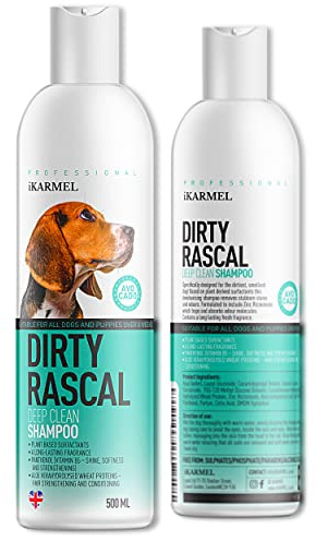 Dirty Rascal Hunde-Shampoo, tiefenreinigend, mit Aloe und Avocado, 500 ml, langanhaltende Desodorierung für Haustiere, Gerüche – professionelle Fellpflege und Duft für stinkenden, stinkenden Hunde