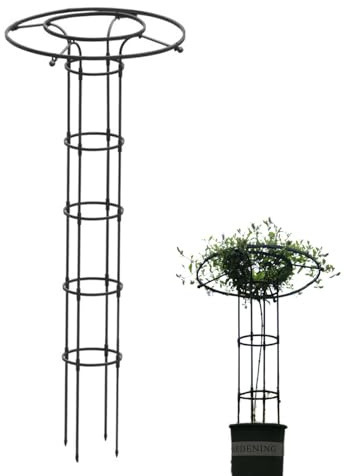 Djowyh traliccio per piante | 180 cm traliccio da giardino per piante in vaso | colonna rampicante per piante rampicanti in metallo per supporto | griglia da arrampicata fai da te per vasi di fiori