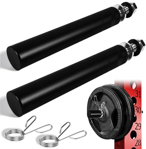 Topfinder Support de Disques pour Power Rack, Rangement de Poids Monté sur Rack, Porte-Disques d’Haltères (50 mm, trou de 1 pouce - 2 pièces)
