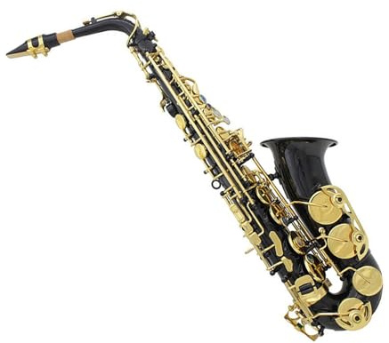 Saxophone für Anfänger Es Altsaxophon Messing Lack Gold Performance(Gold)