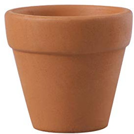 Cabilock 20piezas Maceta para Suculentas Agujero Decoración Chic para Interiores y Jardín para Oficina y Hogar