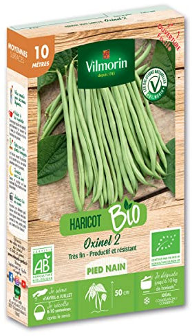 Haricot Nain Vert Oxinel 2-10 m - BIO
