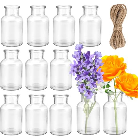 12 pièces Vases en Verre,250ml Petit Vase Corde de Jute Incluse pour Table, décoration, centres de Table, Maison, Anniversaires, Festivals