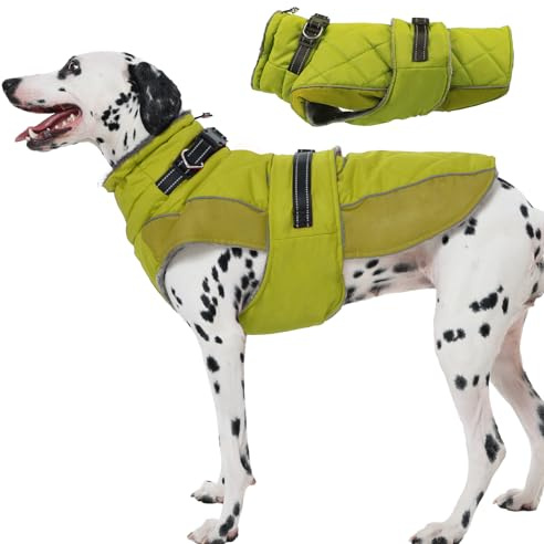 Katzinst Hundemantel mit Bauchschutz, Wintermantel Hunde mit Hohem Kragen und Reflektierenden Streifen, Hundemantel Ohne Reißverschluss Hund, Warme Hundejacke Fleece für Dalmatiner, Beagle, Grün, L