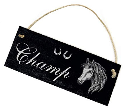 Schild Schiefer Stalltafel Gravur - Andalusier - Pferd Name Boxenschild 22x8cm