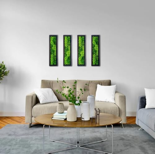 lagom Moosmuster-Wandkunst – echtes Moos, keine Wartung – umweltfreundliche, natürliche grüne Wanddekoration – Moos gerahmt – moderne Wanddekoration mit lebender Pflanze (4)