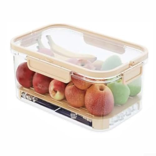 Boîte de conservation de pique-nique avec parois isolées et design transparent pour une surveillance facile des aliments, adaptée pour les activités de plein air comme le camping et les excursions à